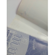 เจ้าสาวซาตาน THE BRIDE OF THE DEMON 3 **รบกวนเลื่อนดูสภาพหนังสือก่อนการสั่งซื้อ**